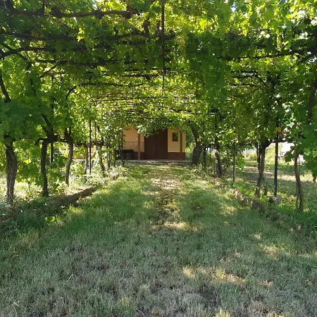 Het Hongaarse Wijnhuis Holiday home *