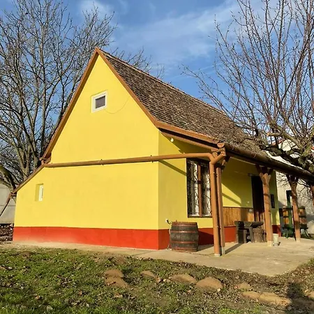 Het Hongaarse Wijnhuis 펜션 *